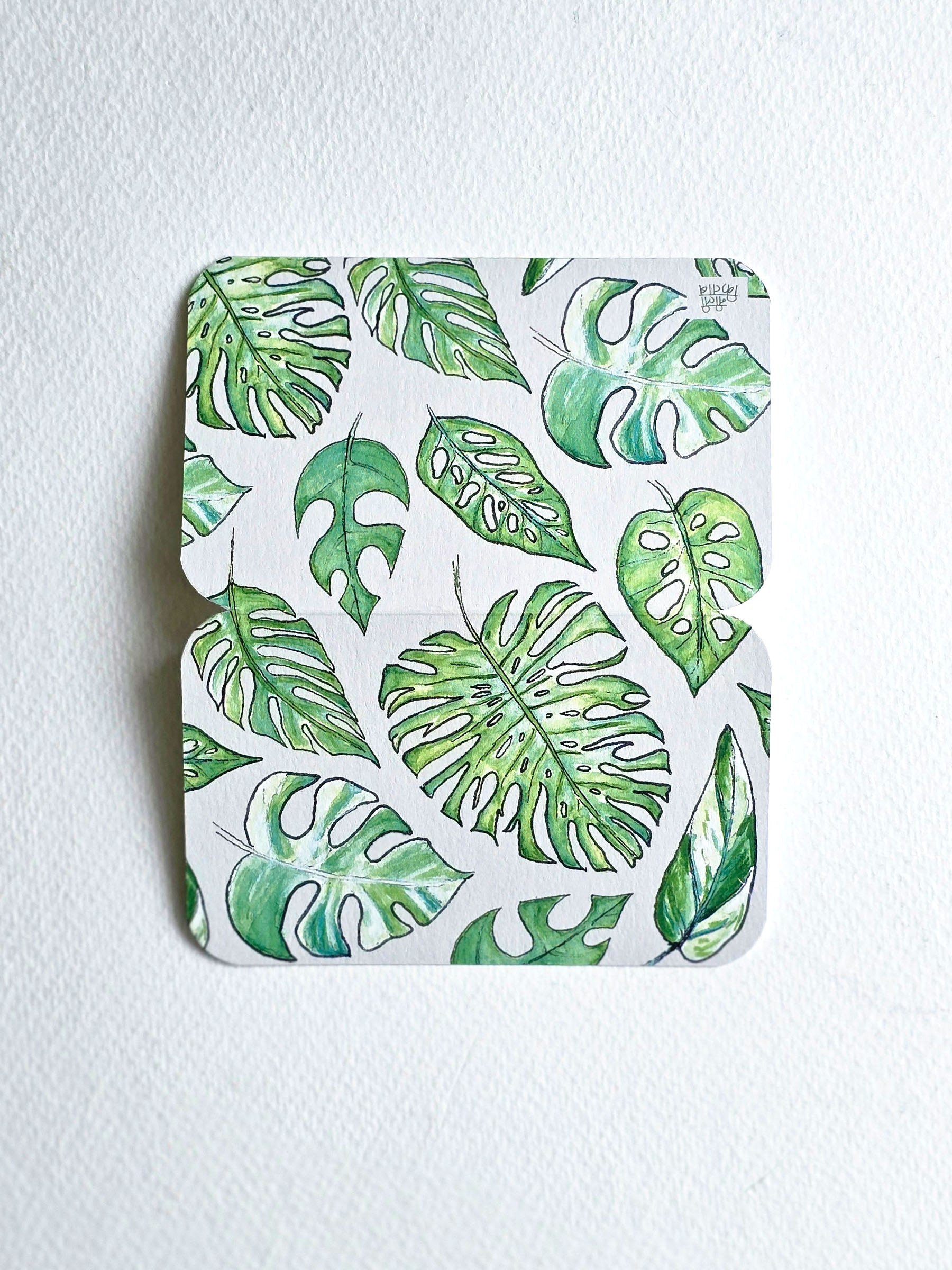Monstera | Set of 4 Notecards