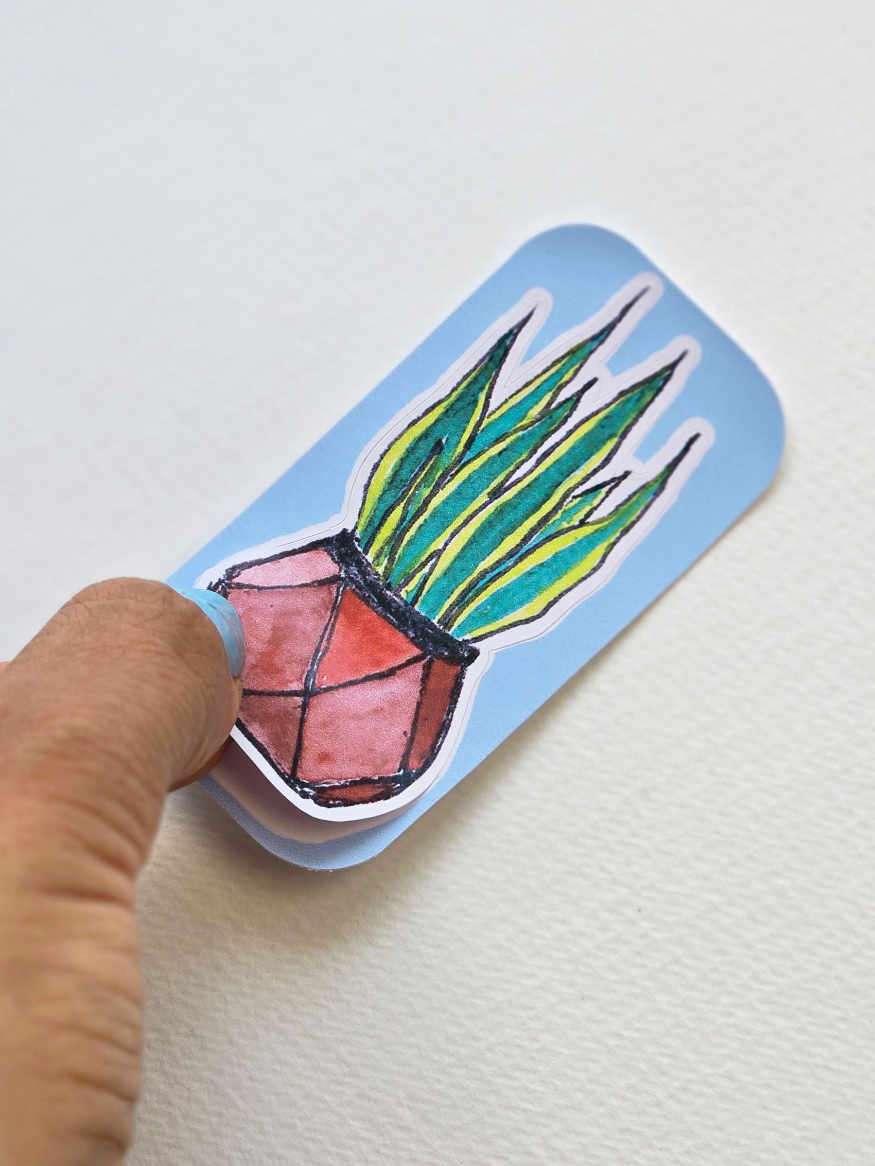 Snake Plant | Laptop sticker