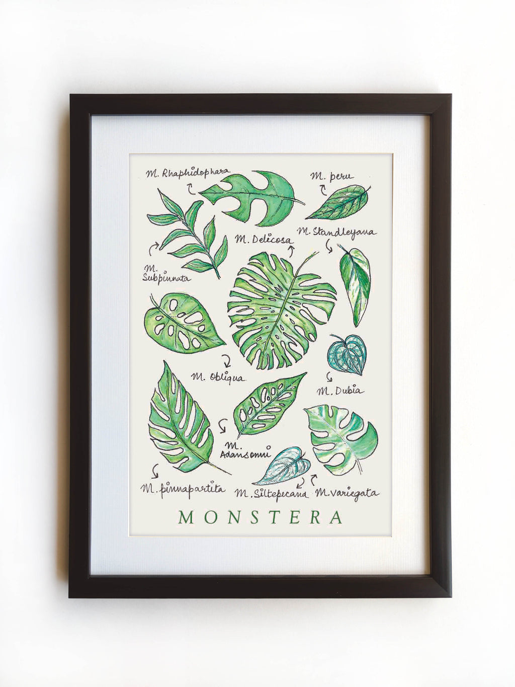 Monstera | Art Print
