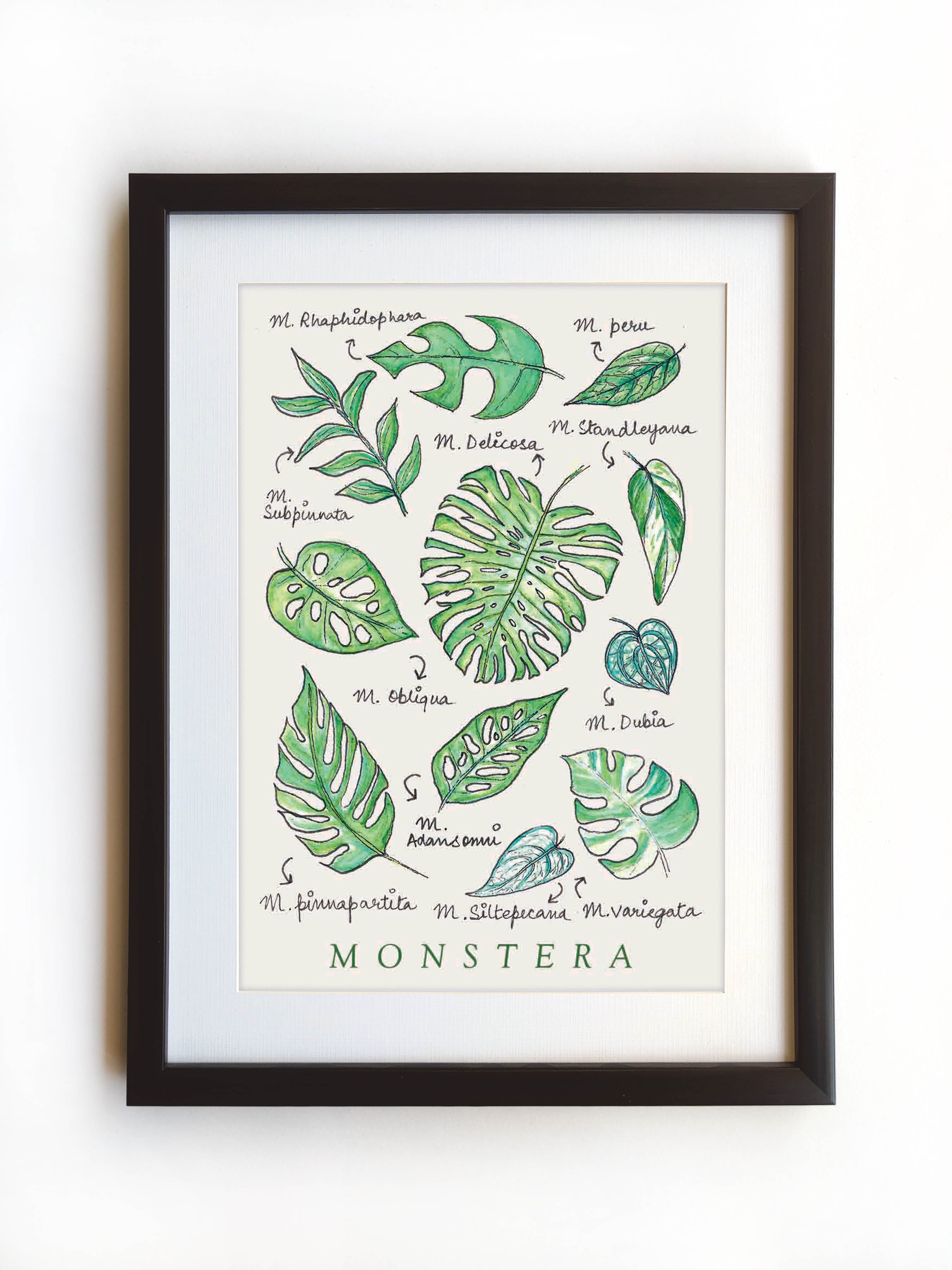 Monstera | Art Print
