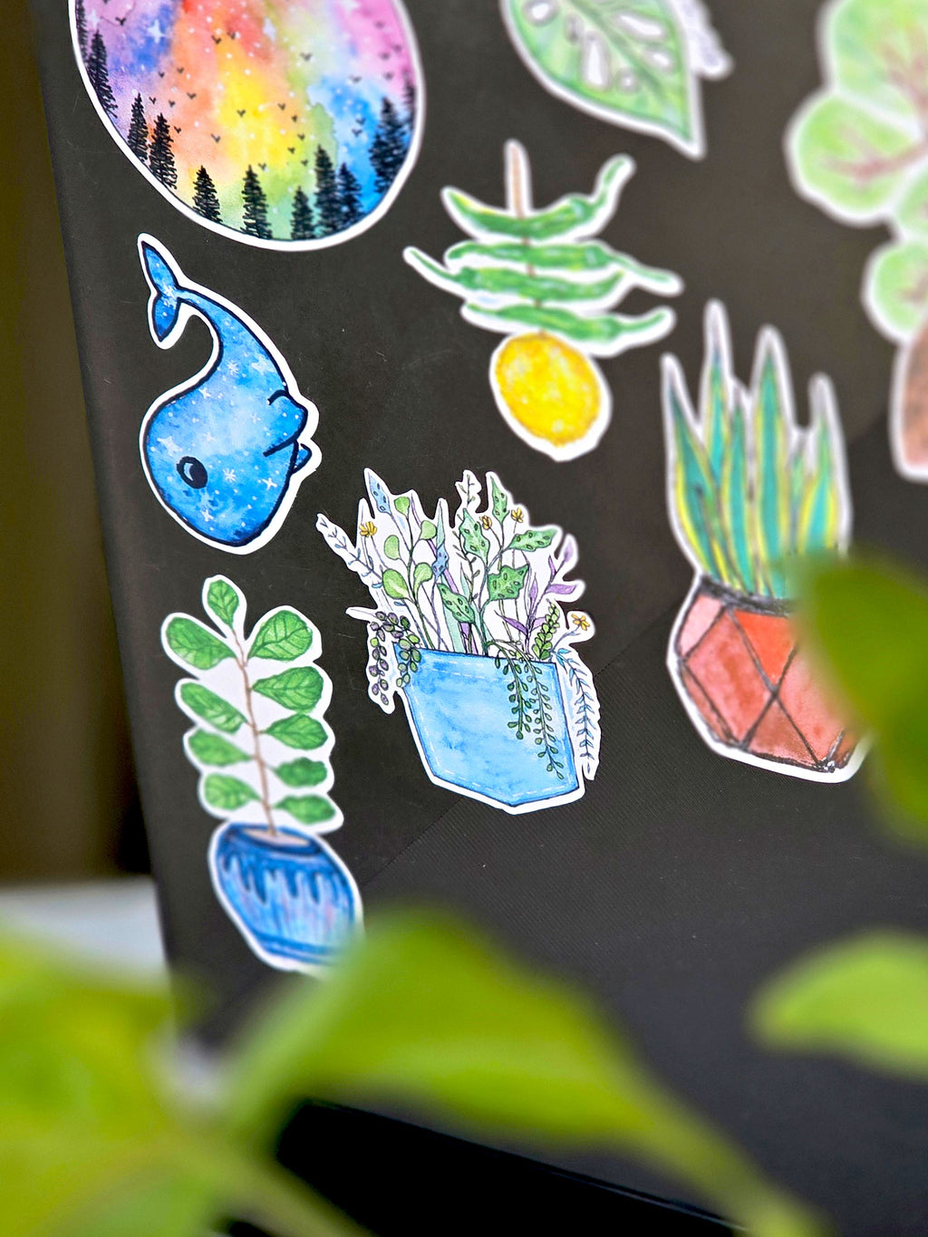 Dolphin | Laptop sticker