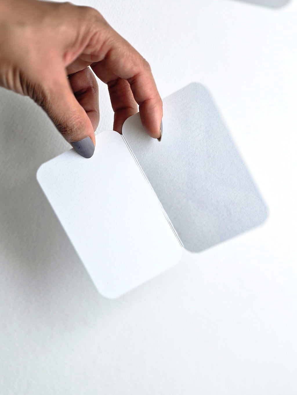 Monstera | Set of 4 Notecards