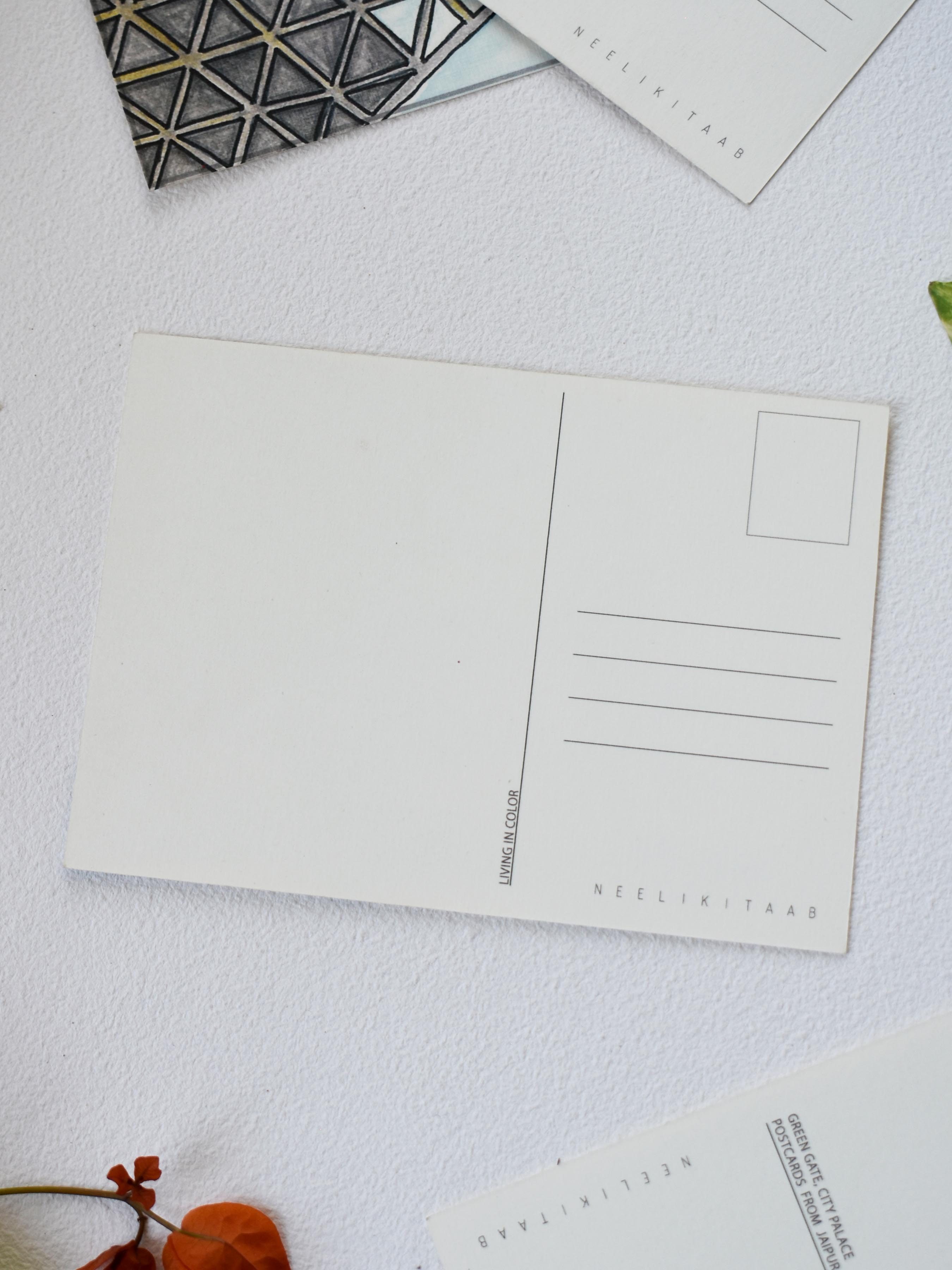 Find Peace | Living in Color